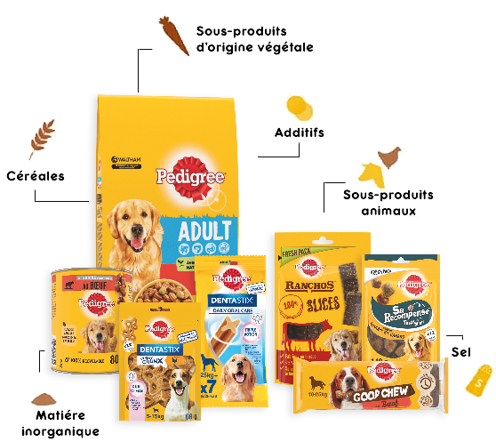 Facts About Pedigree Dog Food